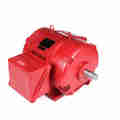 Marathon 125 Hp Fire Pump Motor, 3 Phase, 3600 Rpm, 230/460 V, 404Ts Frame, Odp U530